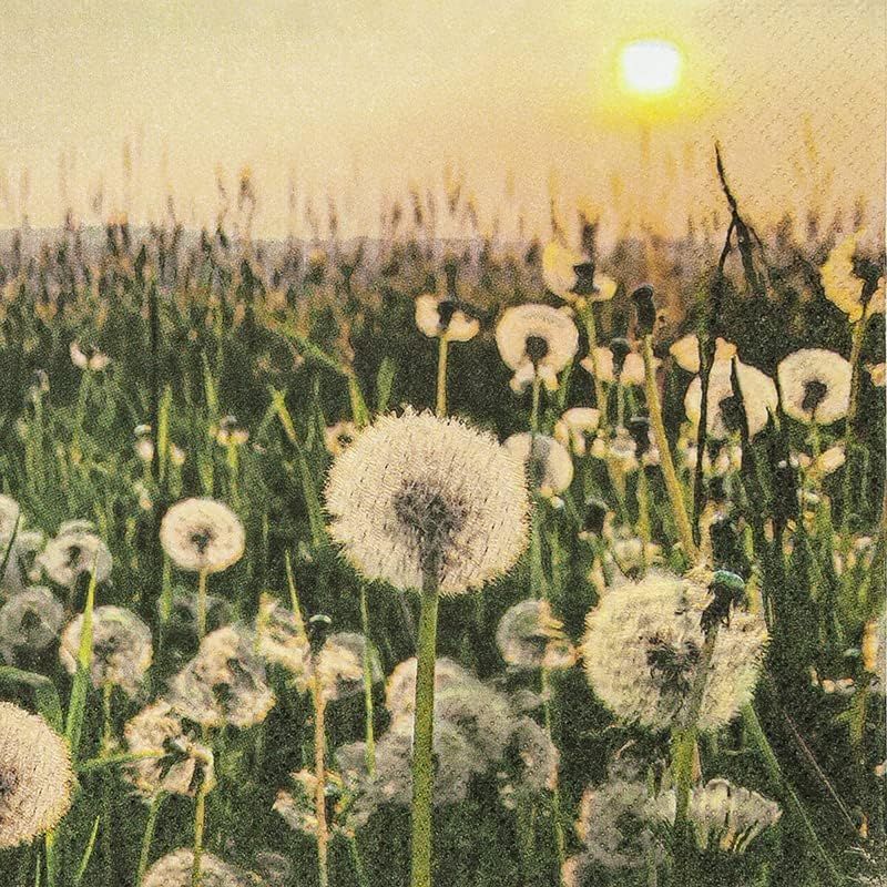 212220 Dandelion Clock 20 Servietten, 33 cm