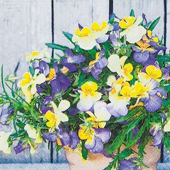 112120 Pansy Mix 20 Servietten, 25 cm,  Tischdeko, Serviettentechnik, Decoupage geeignet.