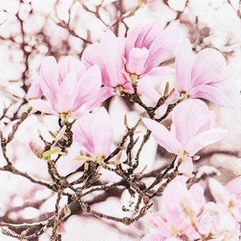 112121 Pink Magnolia 20 Servietten, 25 cm,  Tischdeko, Serviettentechnik, Decoupage geeignet.