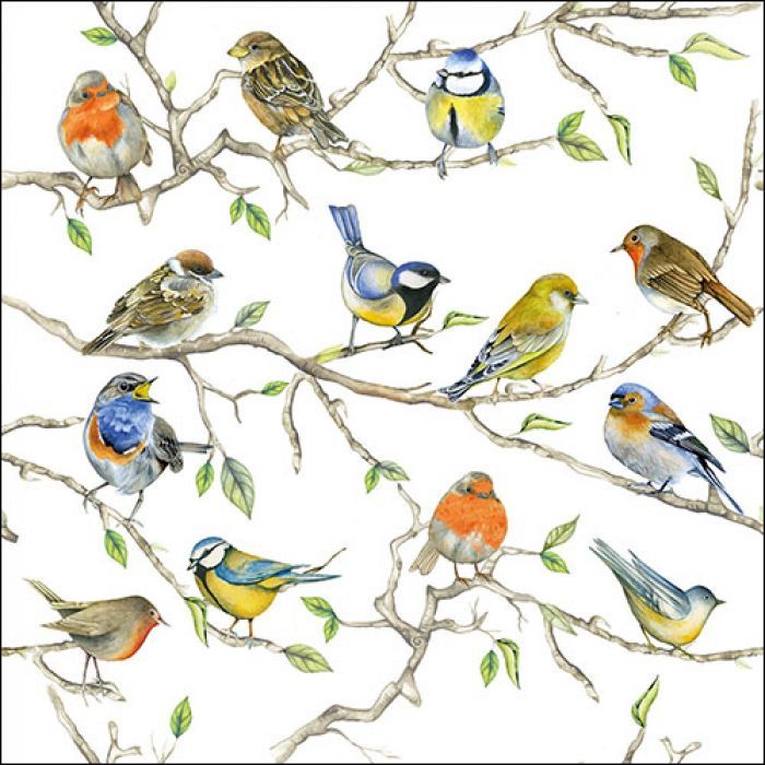 Ambiente Vogeltreffen ca 33x33cm 3-lagig, Vögel treffen  FSC Mix - Party als Tischdeko - Decoupage - Serviettentechnik