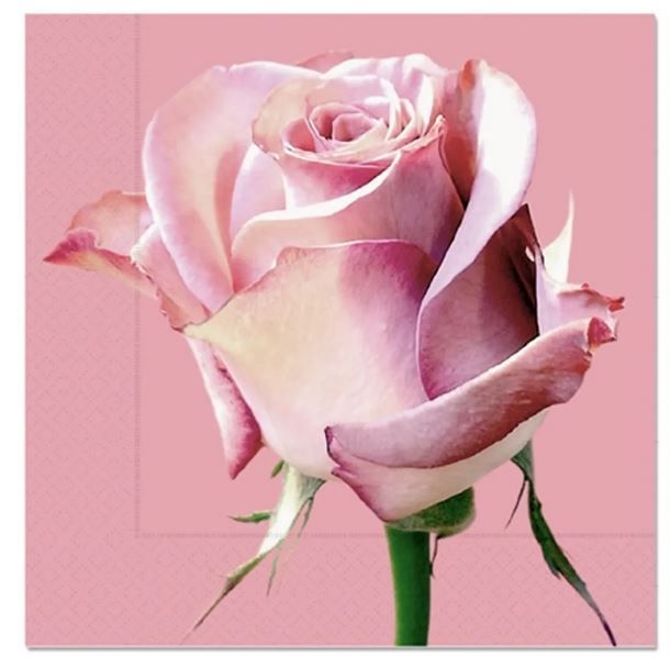 Serviette, Beste Oma,  Blumen Rosa ca,  33x33cm,  3-lagig 20 Stück, La Vida - Servietten Für Dich