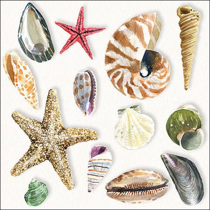 Napkin 33 Shells FSC Mix, 20 Servietten 33 Muscheln FSC Mix