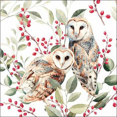 Ambiente Serviette 33cm Schleiereulenpaar weiß FSC MixNapkin , Barn owl couple white FSC Mix-- 20 Stück Ambiente Serviette 33cm Schleiereulenpaar weiß FSC MixNapkin , Barn owl couple white FSC Mix-- 20 Stück