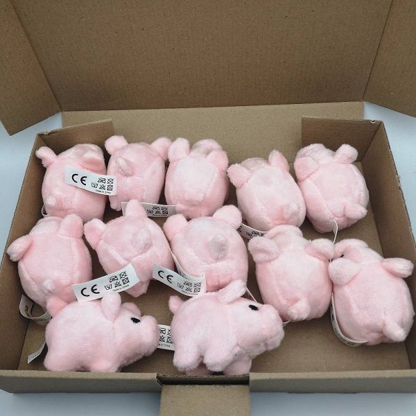 Plüschschweinchen, Glücksschweinchen als Glücksbringer für jeden Anlass. Wie Abschlussprüfung, neuer Job, Abschlussfeier, Geburtstag, Ostergeschenk, Weihnachts