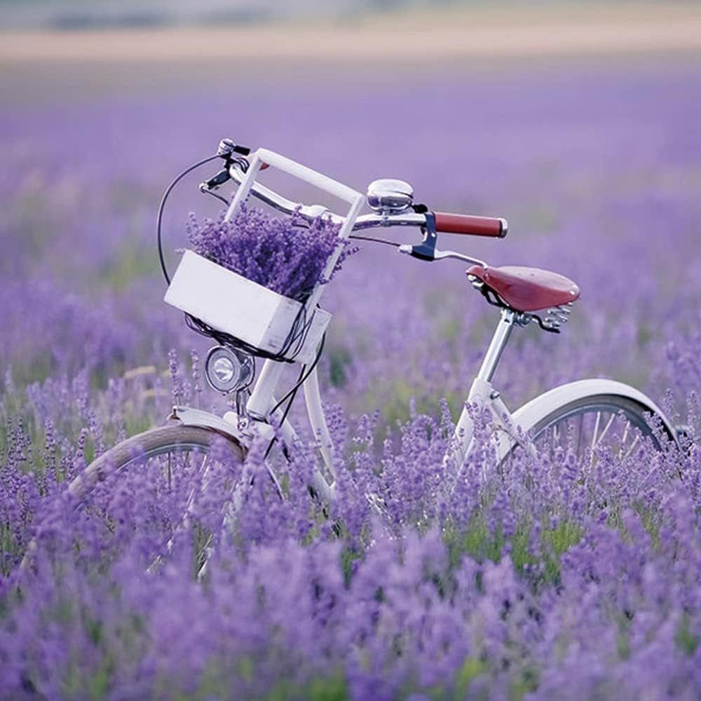 20 Servietten Ambiente  Fahrrad , Lavenderfeld,  Lavendel , Sommer Blumen -Tischdeko ,  Decoupage , Serviettentechnik 33x33cm - 3 lagig