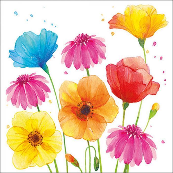 20 Servietten Blumen , Frühling ,  Sommer Motiv - Tischdeko,  Decoupage ,  Serviettentechnik ca. 33x33cm - Napkin 33 Colourful summer flowers FSC Mix