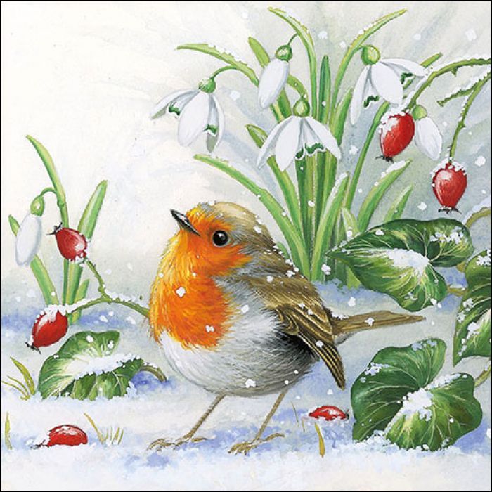 Napkin 33 Robin FSC Mix