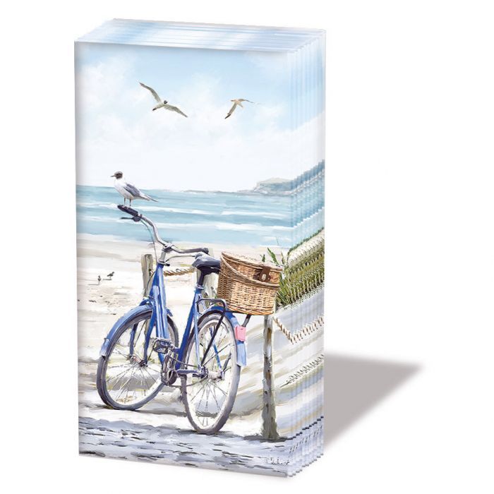 Hdkf Bike at the beach