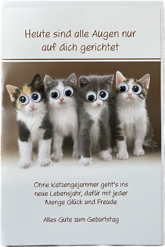 Glückwunsch,  Geburtstag, Katzen- Grußkarten - hochwertig Karte mit Umschlag - Home Fashion - Glückwunschkarte, Glückwünsche, Karten, Grußkarten - Klappkarte