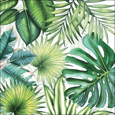 Ambiente Servietten ca 33x33cm 3-lagig, Tropische Blätter bunt FSC Mix - Tropical leaves white - Party als Tischdeko - Decoupage - Serviettentechnik Ambiente Servietten ca 33x33cm 3-lagig, Tropische Blätter bunt FSC Mix - Tropical leaves white - Party als Tischdeko - Decoupage - Serviettentechnik