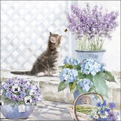 20 Servietten Katze ca, 33cm 3-lagig - Kätzchen FSC Mix - Napkin Kitten 20 Servietten Katze ca, 33cm 3-lagig - Kätzchen FSC Mix - Napkin Kitten
