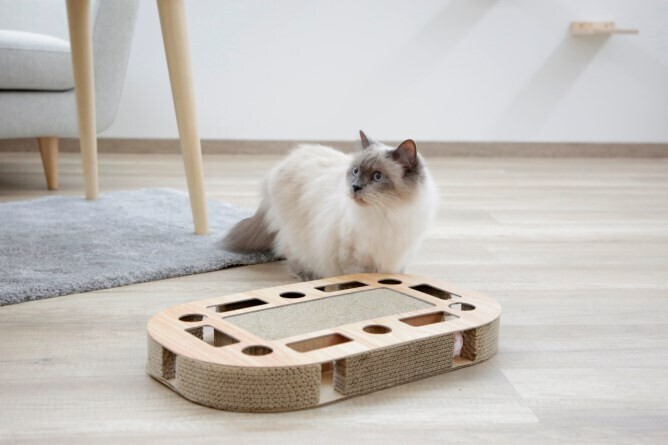 Katzenkratzbrett Ovalo