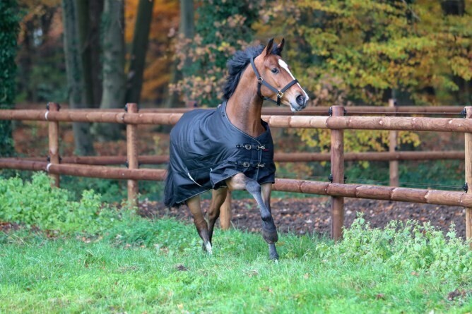 Winterdecke RugBe IceProtect 200 Winterdecke RugBe IceProtect 200