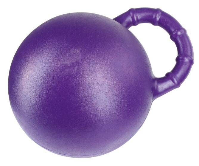 Pferdespielball lila