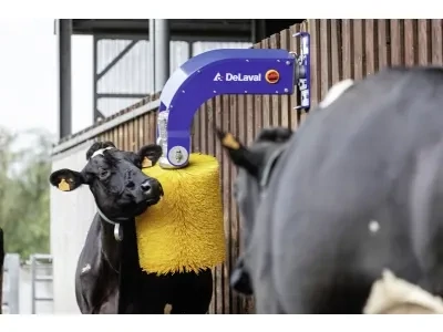 DeLaval Kuhbürste SCB 3.1 (2022) 230V DeLaval Kuhbürste SCB 3.1 (2022) 230V