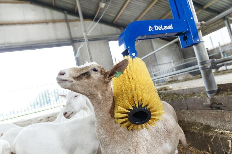 DeLaval Mini Schwingbürste MSB DeLaval Mini Schwingbürste MSB