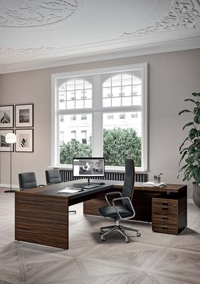 Executive desk E9