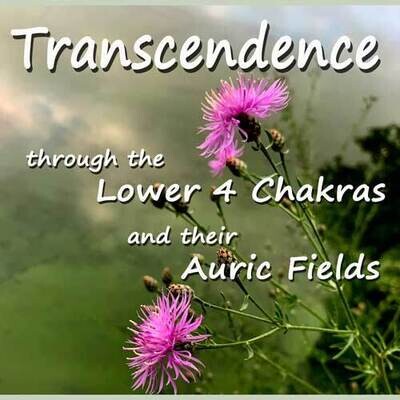 TRANSCENDENCE - the Lower 4 Chakras, Tuesdays, March 7, 14, 28th & April 4rth