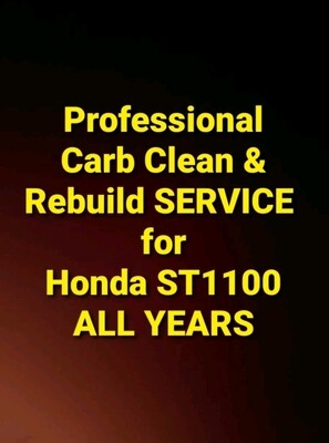 Honda ST1100 Professional Carb Clean and Rebuild Service