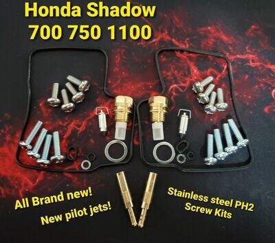 Honda Shadow VT700 VT750 VT1100 Carb Rebuild Kits All Years PH2 Screw kits carbs