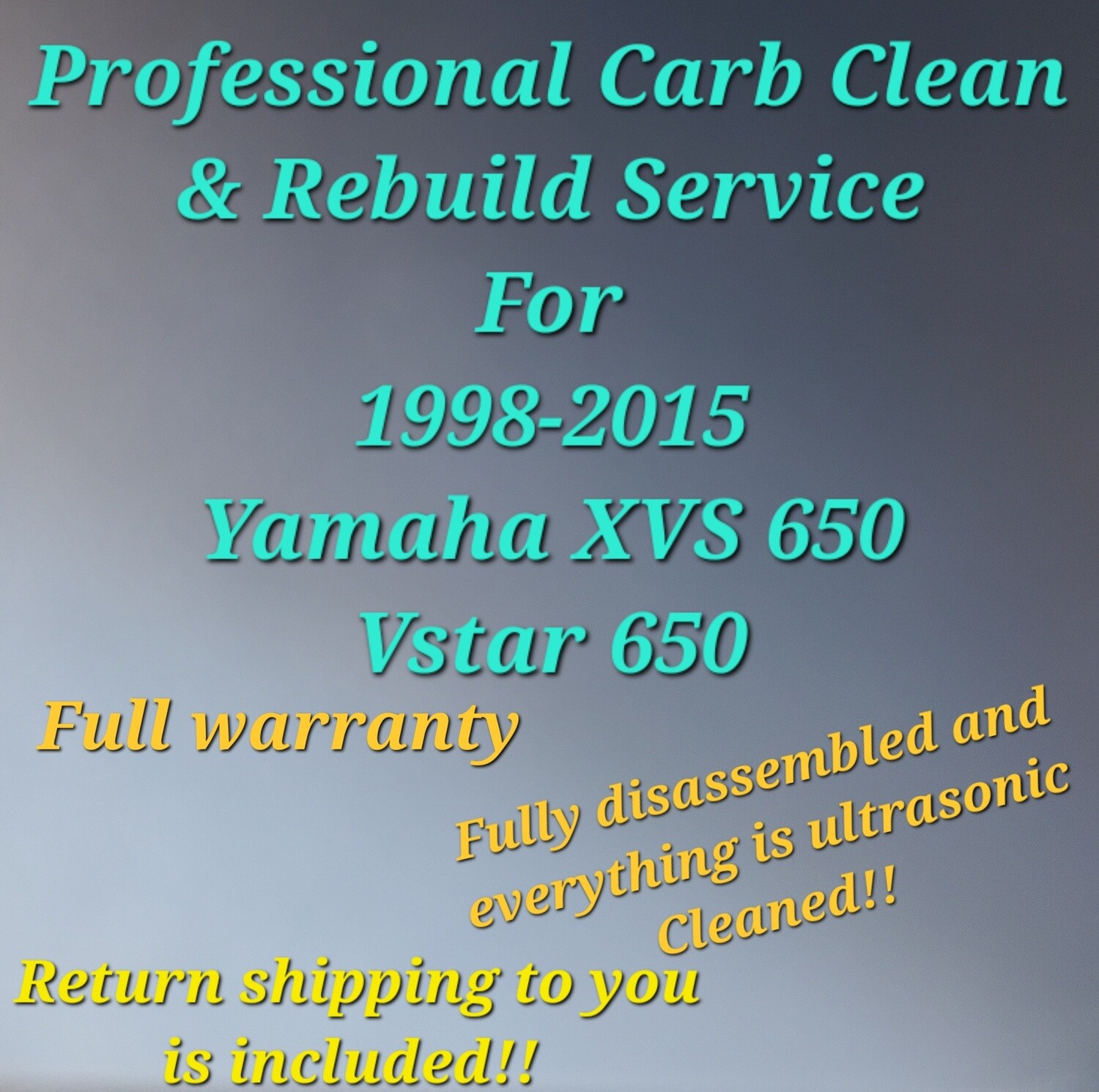 98-15 Yamaha VSTAR 650 Professional Carb Clean &amp; Rebuild Service XVS650