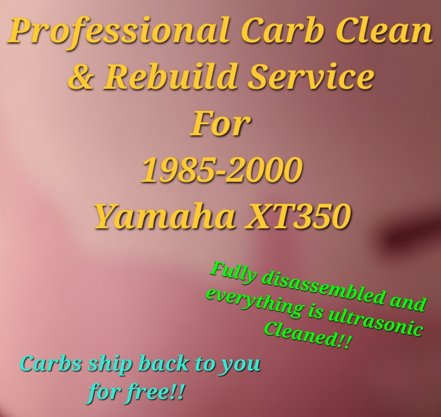 85-2000 Yamaha XT350 Professional carb clean &amp; rebuild service