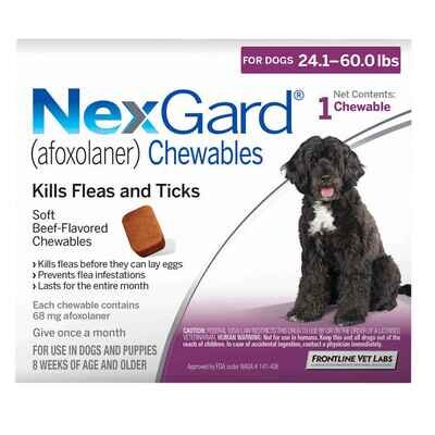 NexGard 24-60lb Single Dose