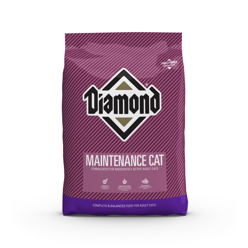 Diamond Maintenance Cat Chow 6lb