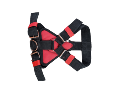 Leashes, Collars, Harnesses and Beds