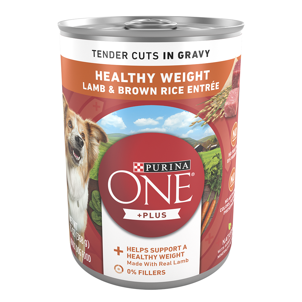 Purina One Lamb and Brown Rice Can (Tender Cuts in Gravy) 13oz