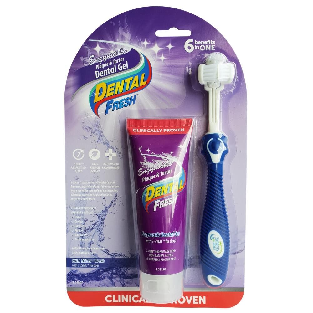 Dental Fresh Enzymatic Dental Toothbrush Kit