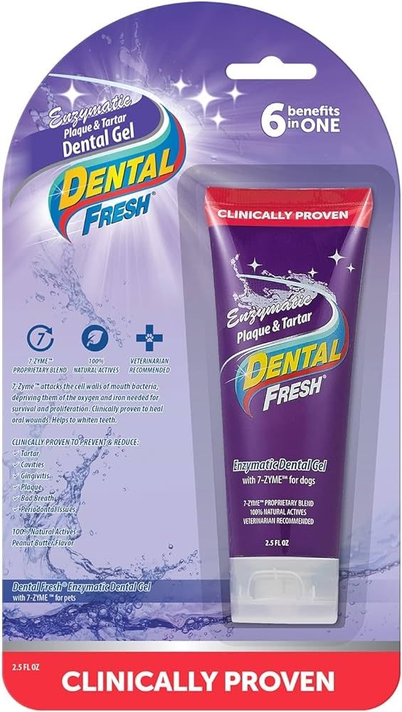 Dental Fresh Enzymatic Dental Gel Toothpaste