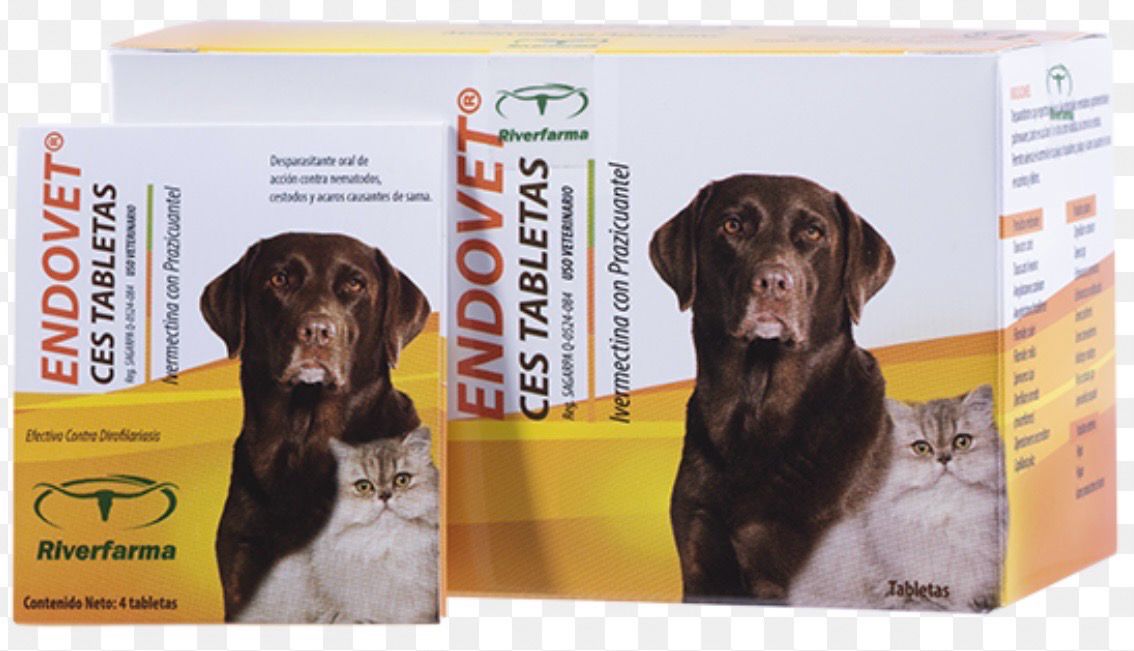 Endovet