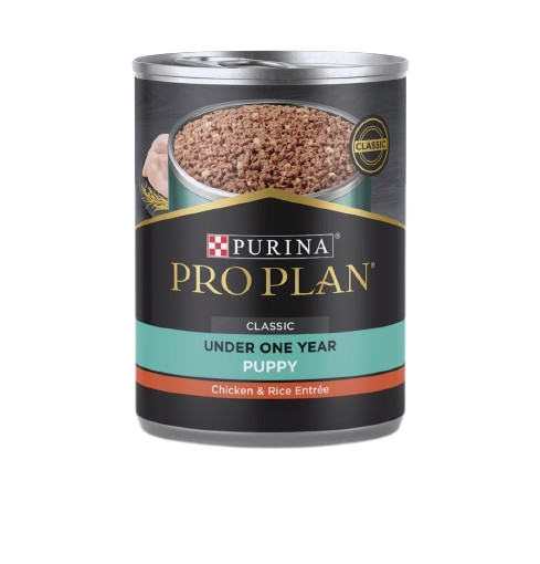 Purina ProPlan Puppy Chicken and Rice Can 13oz