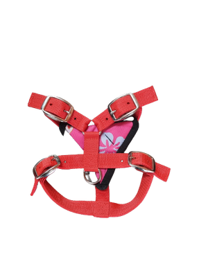 X-Small Harness