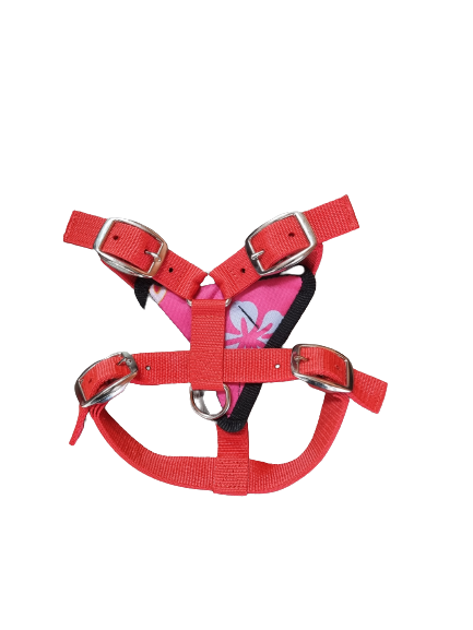 X-Small Harness