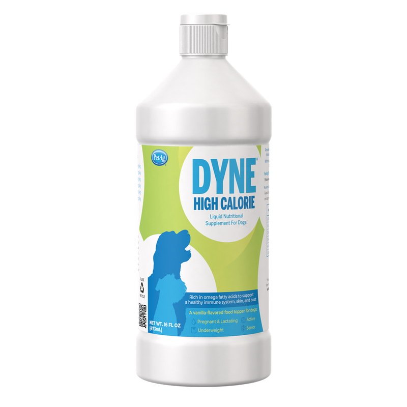 Dyne Nutritional Supplement 32oz