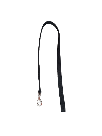 4ft Leash