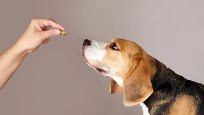 Supplements and Medicine