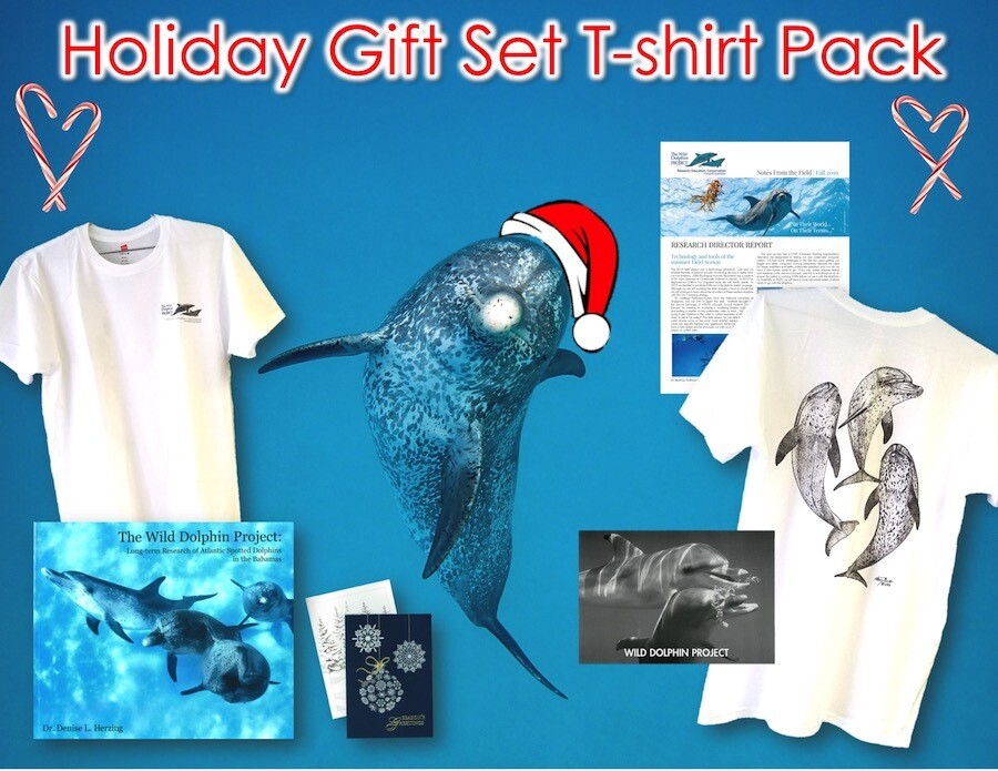 Holiday Gift Set - Triple Dolphin Tee