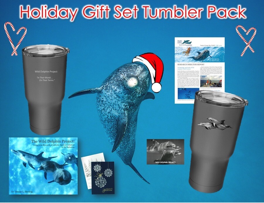 Holiday Gift Set - Tumbler Pack