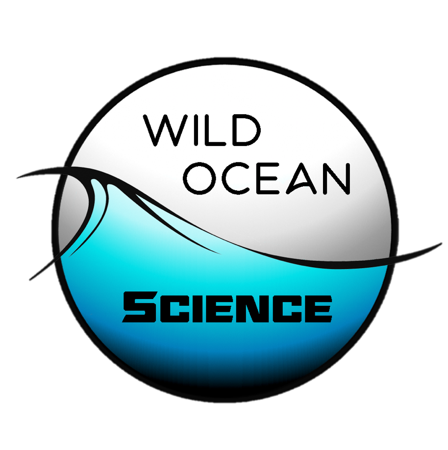 WOS Student Sponsor (B)