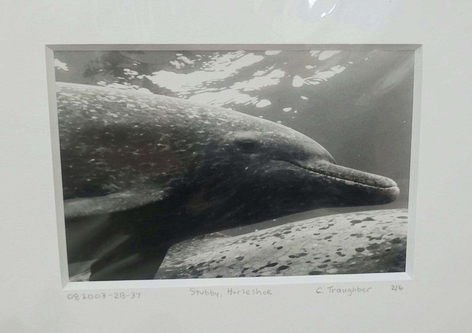 WDP Photos- B&amp;W