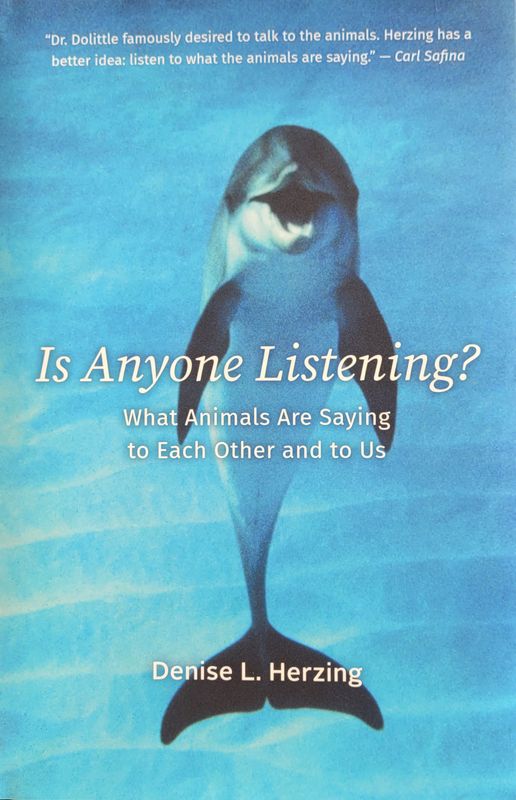 Book: Is Anyone Listening?