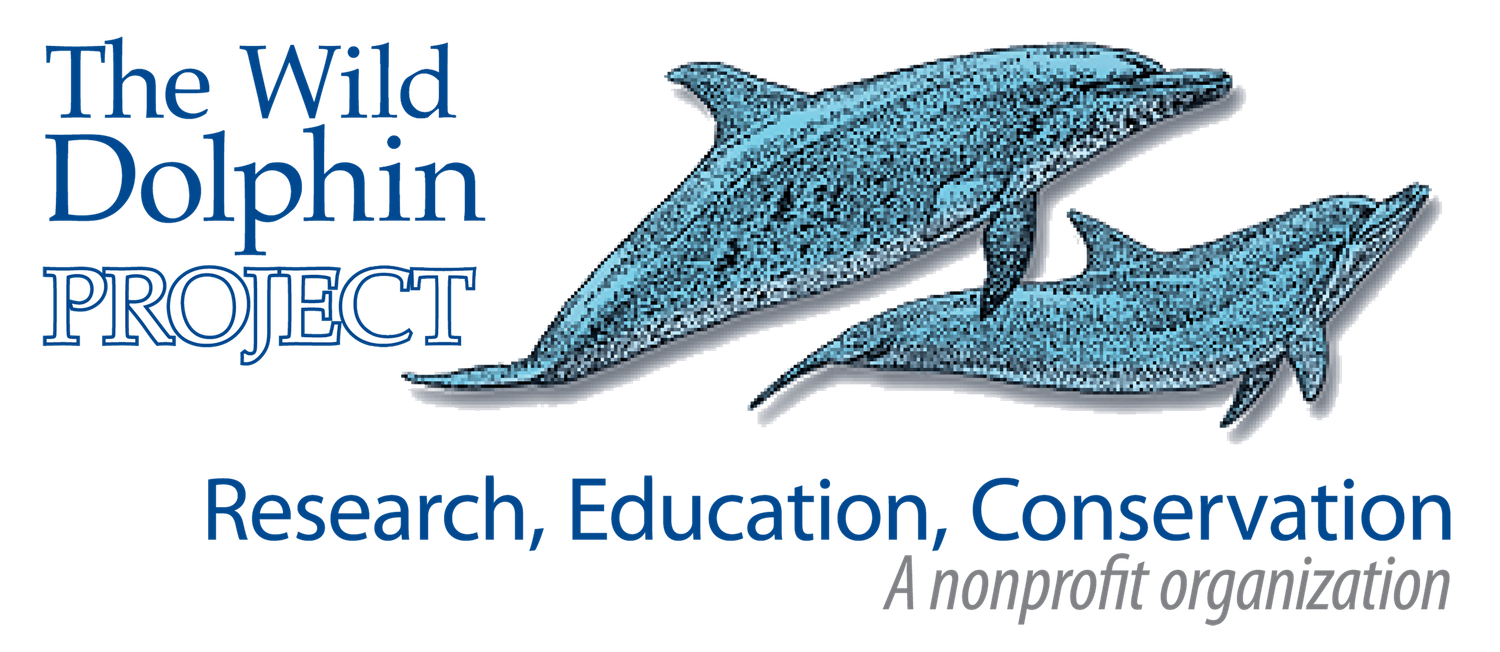 WOS Student Sponsor (A)
