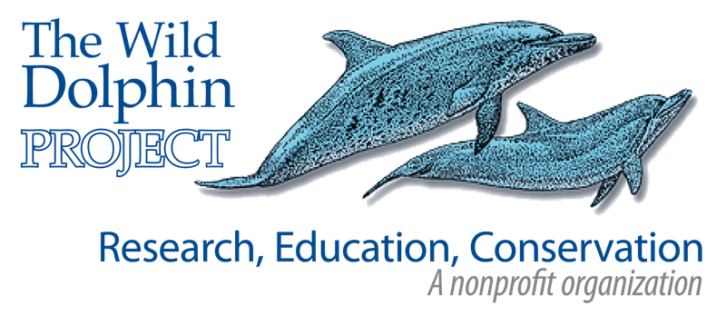 WOS Student Sponsor (A)