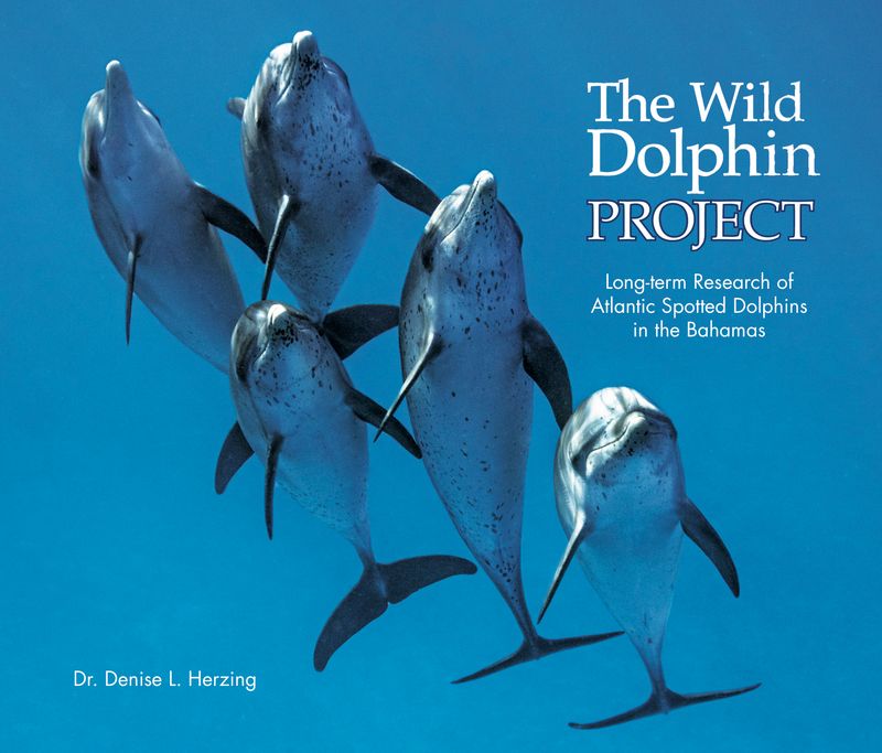 2025 Book: The Wild Dolphin Project