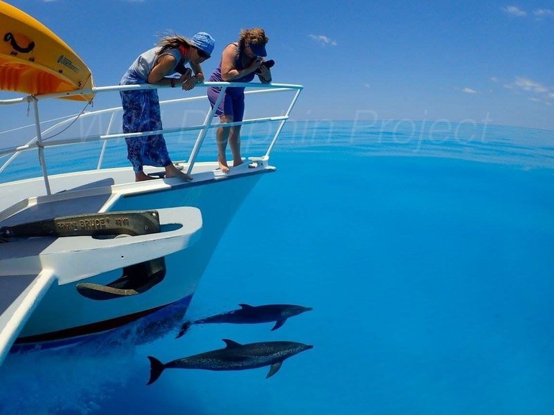 Bahamas Trip Participant