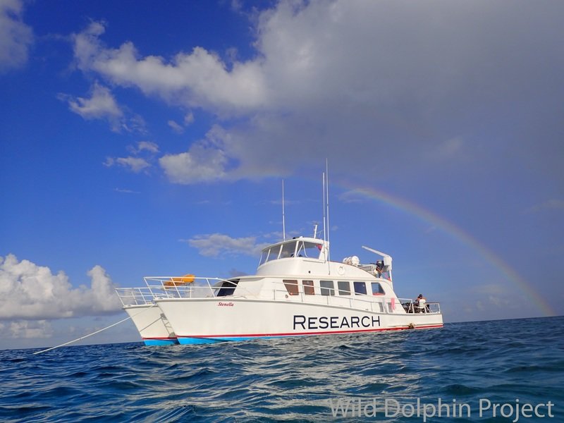 Full Trip Private Charter