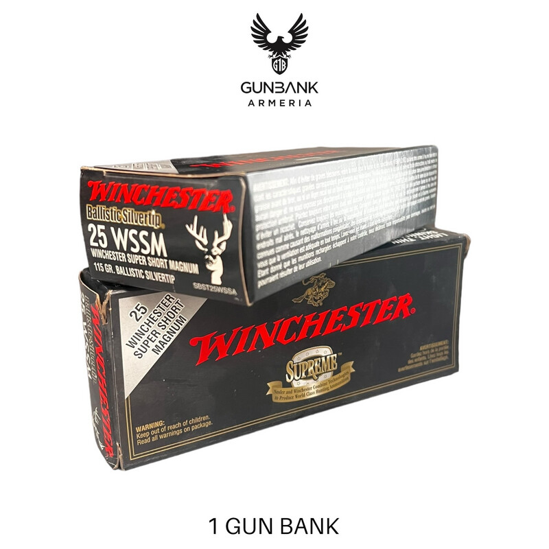 Winchester Ballistic Silvertip 25 WSSM